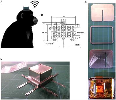 Chronic subdural electrocorticography in nonhuman primates by an implantable wireless device for brain-machine interfaces